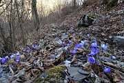 40 La stradetta diviene sentiero in saliscendi nel bosco